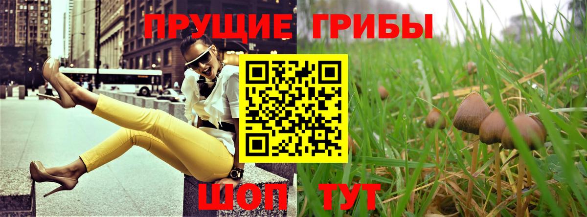 Галлюциногенные грибы MAGIC MUSHROOMS  Вход с VPN  Галлюциногенные грибы прущие грибы  Свободный 